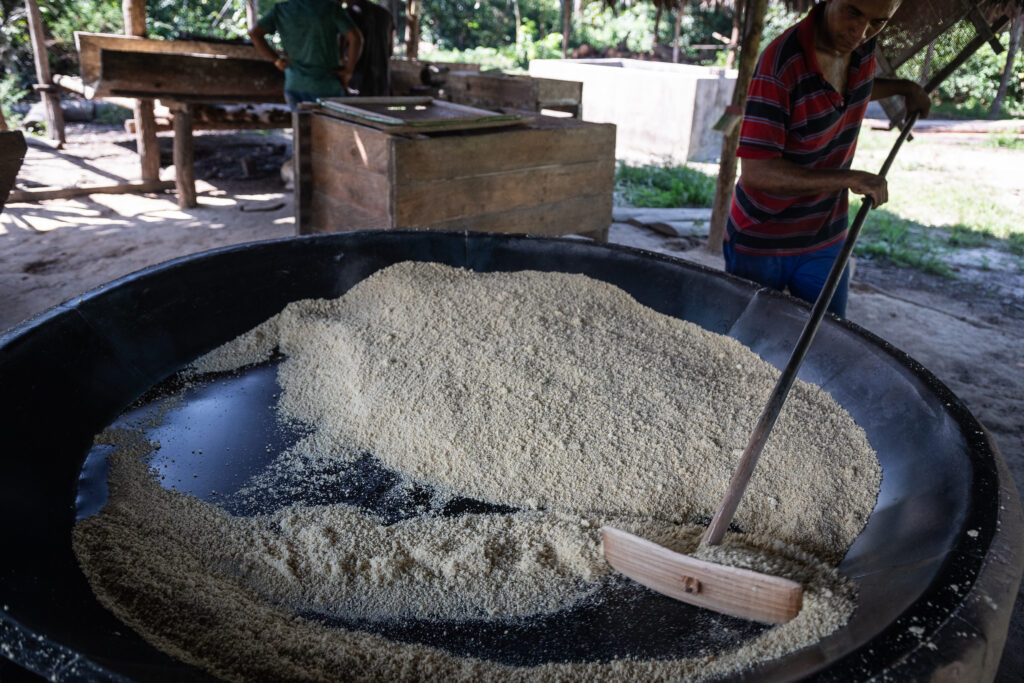 Rural quilombolas, descendants of escaped African slaves, prepare manioc [cassava] flour, the staple of traditional Amazonian diets, in São João do Itacuruçá, Abaetetuba, Pará, Brazil. Credit: Cícero Pedrosa Neto
