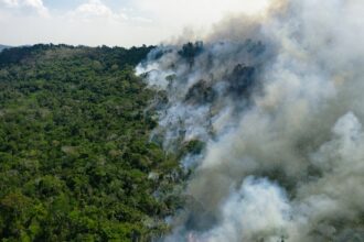 Aerial view of a burning area of Amazon rainforest reserve, south of Novo Progresso in Para state, on August 16, 2020. Credit: Florian Plaucheur/AFP via Getty Images