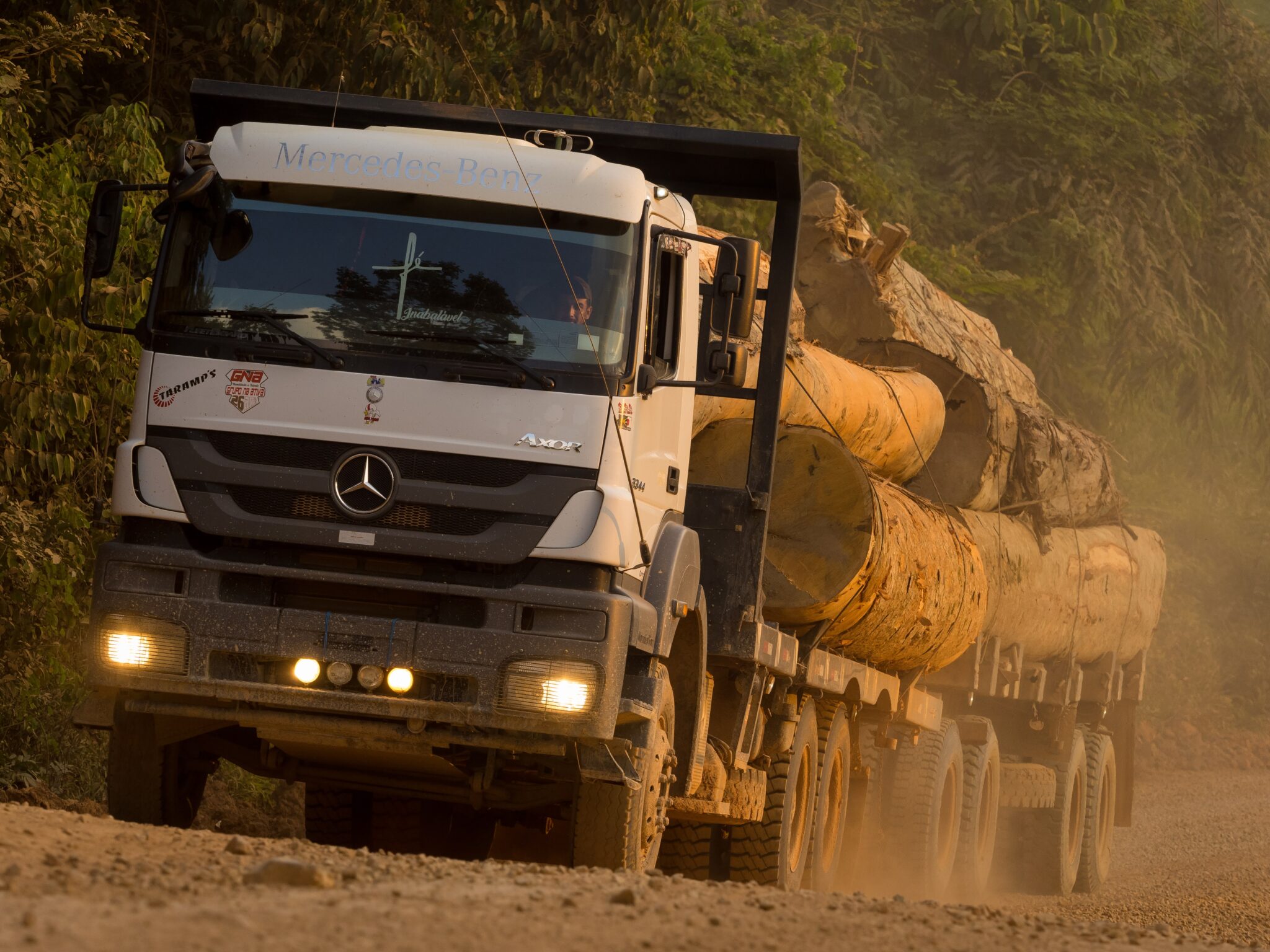 Trucks hauling cut timber in Brazil legally must have license tags visible on the ends of the logs. The driver of this truck, on the Transgarimpeira, near Itaituba, confirmed that his load of hardwoods is illegal and without the required tags. Credit: Larry C. Price