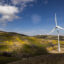 Wildflowers spread over hills as wind turbines create electricity on April 16, 2023 near Cameron, California. Spectacular wildflower blooms, referred to by some as a "superbloom", is occurring across much of California following a historically wet season that drove 31 atmospheric river storms thorough the region, resulting in widespread flooding and record snow depths in the Sierra Nevada Mountains.