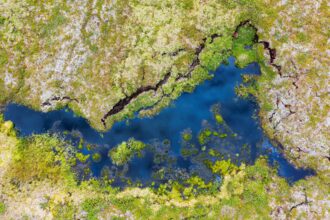 This aerial view taken on Aug. 24, 2021, shows the pond at the Storflaket mire, an area where permafrost is studied by researchers looking into the impact of climate change near the village of Abisko, in Norrbotten County, Sweden. Credit: Jonathan Nackstrand/AFP via Getty Images