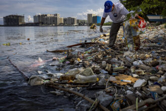 A volunteer collects plastic waste that washed up on the shores and mangroves of Freedom Island to mark International Coastal Clean-up Day in September 2023 in Las Pinas, Metro Manila, Philippines. Credit: Ezra Acayan/Getty Images