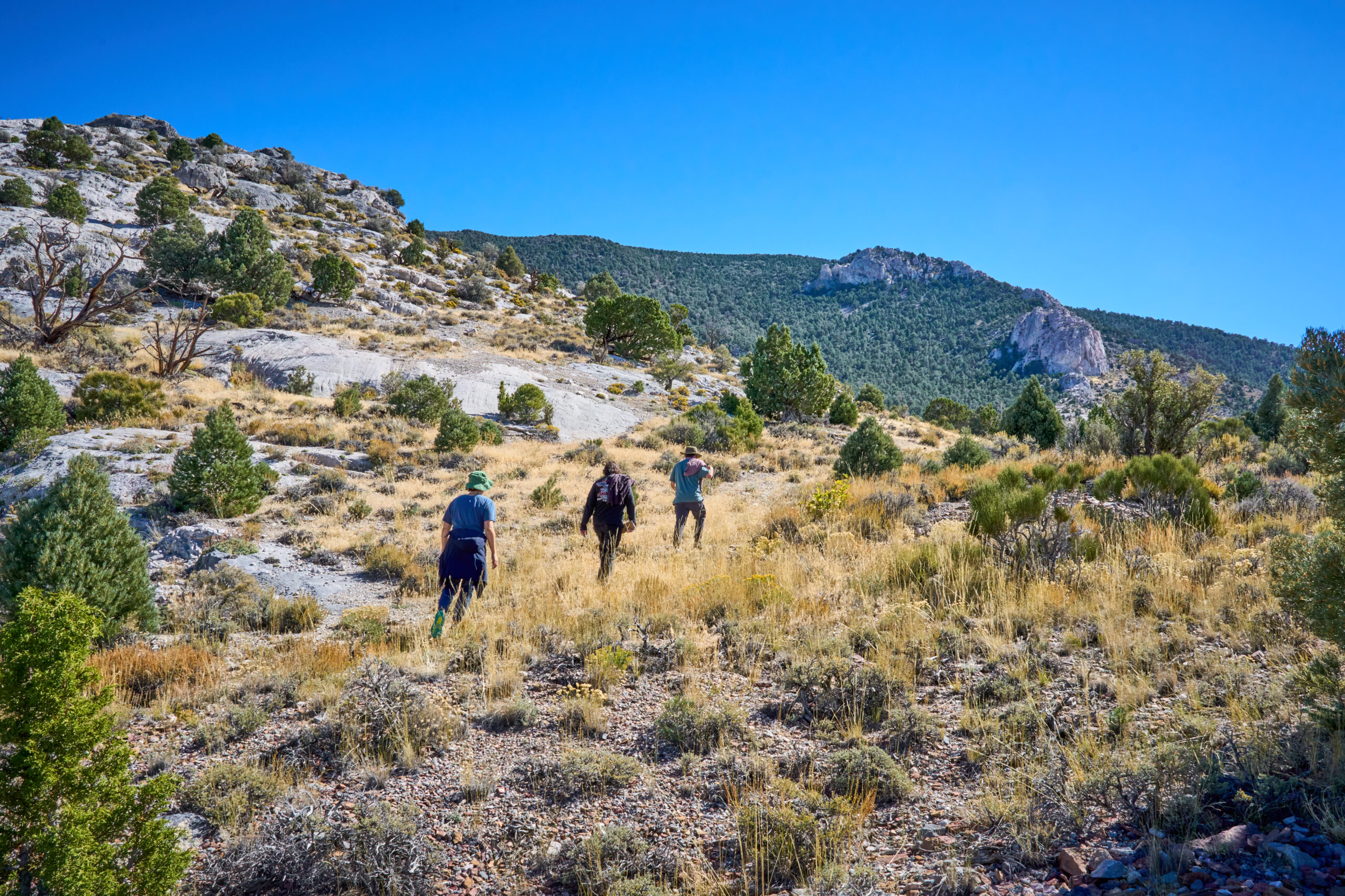 Kyle Roerink, right, leads a hike in the Duck Creek Range, where a pumped storage project is proposed in Ely, Nevada, on Thursday Oct. 5, 2023. Credit: Alex Gould