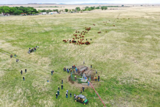 In an aerial view, ranchers and other participants gather to observe cattle grazing in freshly opened pasture using adaptive grazing at CS Ranch, as they take part in the Soil Health Academy which teaches regenerative agriculture techniques, on June 1, 2022 in Cimarron, New Mexico. Credit: Mario Tama/Getty Images