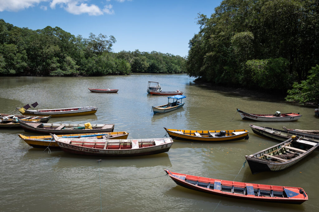 The Extractive Reserve Mãe Grande Curuçá, in Pará, is located at the meeting of the Amazon River and the Atlantic Ocean and includes vast expanses of mangroves and tropical rainforests—both of which have become the focus of carbon offset projects. Credit: Cícero Pedrosa Neto