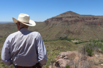 Steve Turcotte, president and one of the founders of Los Charros Foundation, looks down on his cattle ranch property in the Aravaipa Canyon Wilderness in Winkelman, Arizona, on May 8, 2023. Photo by Emma Peterson for Inside Climate News